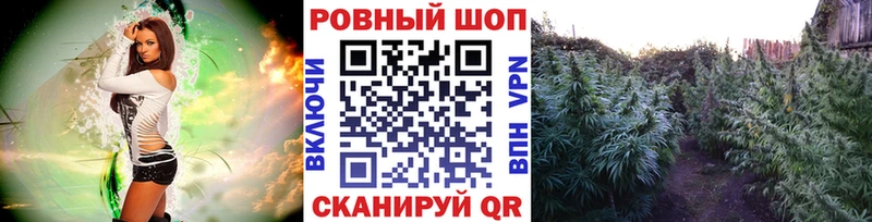 Где купить наркоту Железноводск A PVP Меф ГАШИШ МЕТАМФЕТАМИН МАРИХУАНА