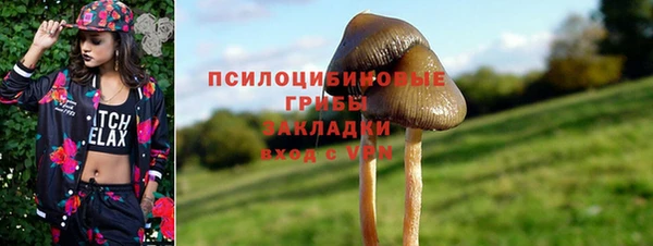 стафф Балахна