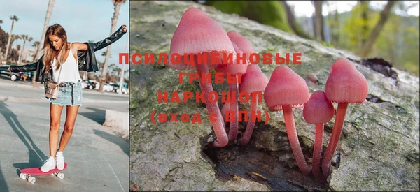 стафф Балахна